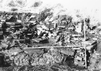 N-S section cut obliquely through broch following JCB damage. Section photographed from E (frame 4)