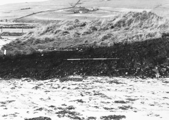 N-S section cut obliquely through broch following JCB damage. Section photographed from E (frame 5)