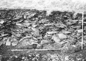 N-S section cut obliquely through broch following JCB damage. Section photographed from E (frame 6)