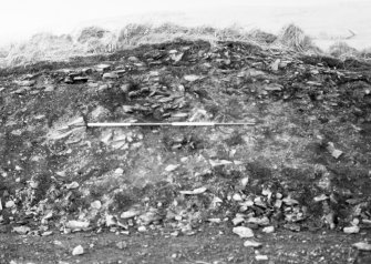 N-S section cut obliquely through broch following JCB damage. Section photographed from E (frame 7)