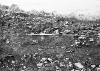 N-S section cut obliquely through broch following JCB damage. Section photographed from E (frame 8)