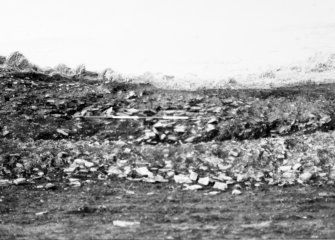 N-S section cut obliquely through broch following JCB damage. Section photographed from E (frame 9)