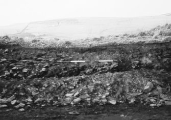 N-S section cut obliquely through broch following JCB damage. Section photographed from E (frame 10)