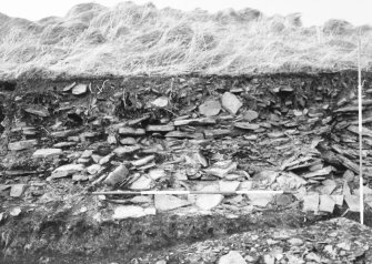 N-S section cut obliquely through broch following JCB damage. Section photographed from E (frame 11)