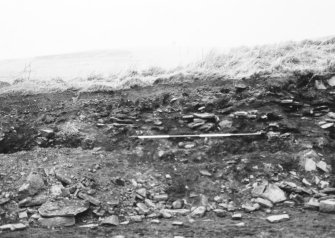 N-S section cut obliquely through broch following JCB damage. Section photographed from E (frame 12)