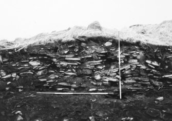 N-S section cut obliquely through broch following JCB damage. Section photographed from E (frame 14)