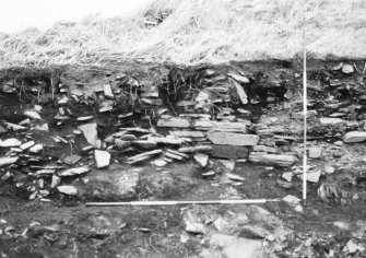 N-S section cut obliquely through broch following JCB damage. Section photographed from E (frame 16)