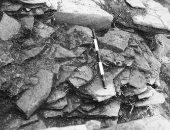 Point of Cott excavation archive
Frame 21: Compartment 4, NE, showing collapse before removal of wall 99/98. From E.
Frames 22-23: Compartment 4, post-excavation.
Frames 24-26: F116, section through tumble and black patch. From S.
Frames 27-28: F145-8: Boxes under 66 after rubbish removed and fill cleaned over. From S.
Frames 29-34: F76: Slumped revetment? (some confusion as to numbering).
Frame 35: Rubble at front of passage. From S.
Frame 36: Rubble at front of passage. From NW.
Frame 37: Rubble at front of passage. From N.
Frame 38: Space between stones.