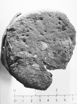 Pottery base with steatite grits from Hut Circle I.