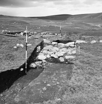 Excavation photograph : Hut Circle I - section across wall - soil stripped.