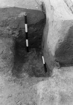 Point of Cott excavation archive
Frames 20-21: Socket for J.E.2, post-excavation. From E.
Frames 22-23: Socket for J.W.3, post-excavation. From W.
Frames 24-29: Backstone and slot. From N.
Frames 30-33: Box section of socket J.W.4. From Compartment 3.
Frames 34-35: Backstone section. From erosion area.
Frame 36: superimposed exposures.