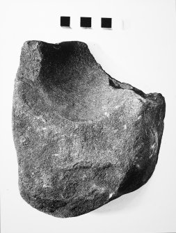 Post ex photograph : part of saddle quern stone?