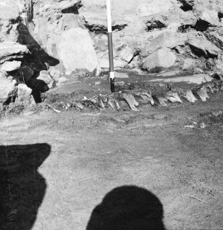 Excavation photograph : hearth with keb of jawbones in the central area of the larger wheelhouse.