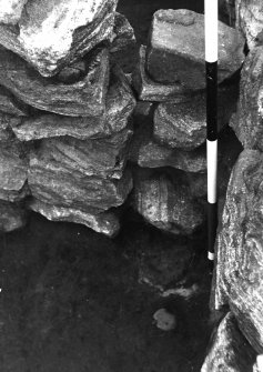 Excavation photograph : detail.