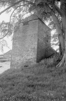 Milnhead House : dovecot, Kirkmahoe Parish