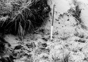 Excavation photograph. 'Howking' above Zone G, detail from south.