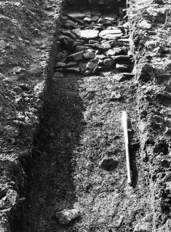 View of trench. October 1979.