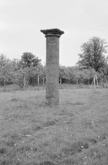 General view of Old Fochaber's Market Cross, Gordon Castle estate.