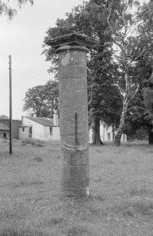 General view of Old Fochaber's Market Cross, Gordon Castle estate.