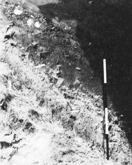 Excavation photograph: section.