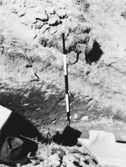 Excavation photograph: section.