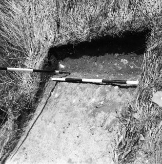 Excavation photograph.