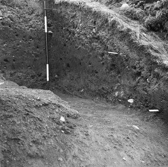 Excavation photograph.