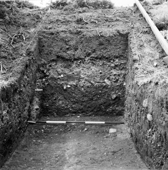 Excavation photograph.