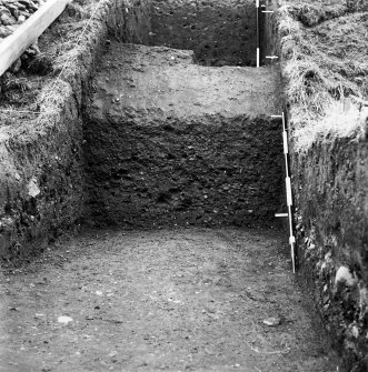 Excavation photograph.