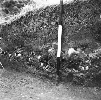 Excavation photograph.