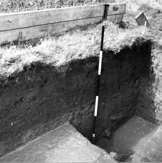 Excavation photograph.