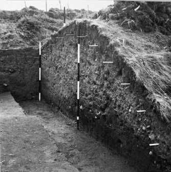 Excavation photograph.