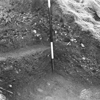 Excavation photograph.