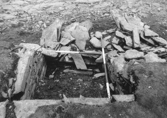 Tres Ness, Sanday. 
Central chamber of eroded chambered cairn.