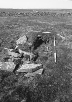 Tres Ness, Sanday. 
Chambered cairn.