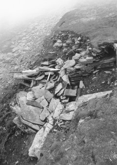 Tres Ness, Sanday. 
Eroded chambered cairn.