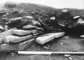 Tres Ness, Sanday. 
Section through eroded chambered cairn.