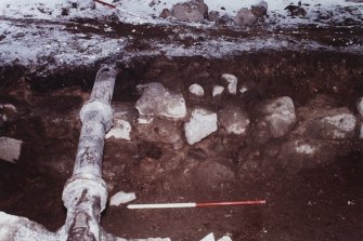 E19  Trench 4  DX prior to excavation of TR 4a