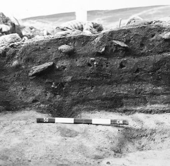 Upper Suisgill excavation photograph
Area I / IA - temporary N-S section between I / IA, I, IA / II.