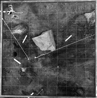 Upper Suisgill excavation photograph
Photogrammetry: Square E5 viewed through a planning frame.