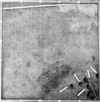 Upper Suisgill excavation photograph
Photogrammetry: Square F8 viewed through a planning frame.
