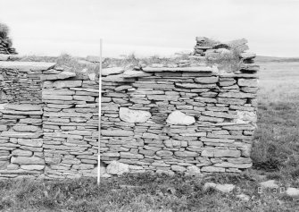 Survey photograph : site 51b - part of front elevation of earlier domestic unit, with internal access to byre; and living area with chimney at either end.