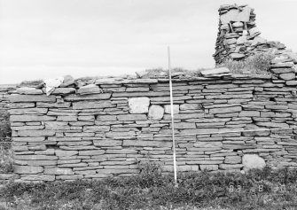 Survey photograph : site 51b - part of front elevation of earlier domestic unit, with internal access to byre; and living area with chimney at either end.