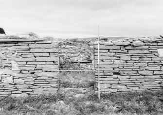 Survey photograph : site 51b - part of front elevation of earlier domestic unit, with internal access to byre; and living area with chimney at either end.