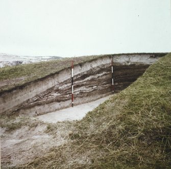 Excavation photograph.  Square 61
