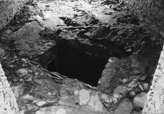 Excavation photograph - Main cellar with cellar 107