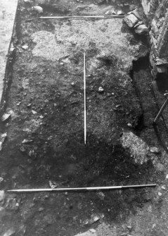 Excavation photograph : N end of range after removal of clay and mortar floors, from E.