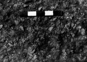 Excavation photograph : Decayed sandstone pebble layer, close up, trench E, 31.