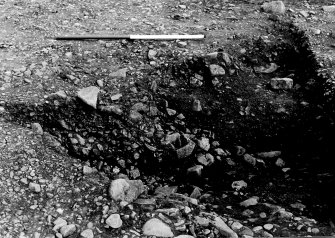 Excavation photograph : Denniss looking north.