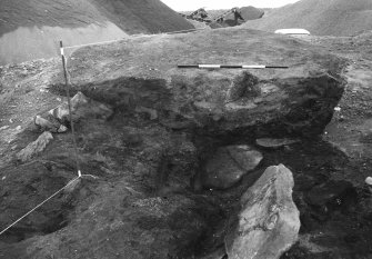 Excavation photograph.